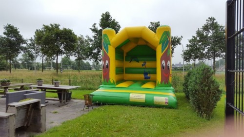 Springkussen Boomkussen